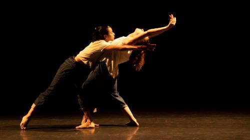 PADHA – ONE YEAR DANCE AND HEALING PROGRAM