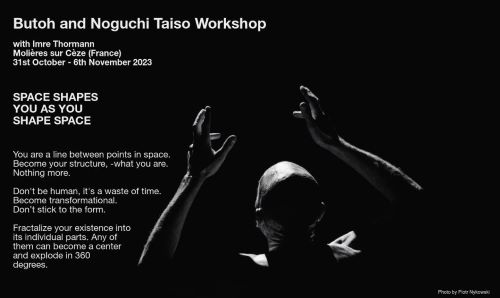 FRANCE: BUTOH AND NOGUCHI TAISO WORKSHOP