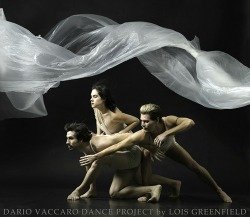 Dario Vaccaro Dance Project